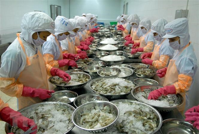 Malaysian media highly appreciates efforts of Vietnamese economy in 2021